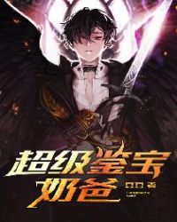 超级鉴宝系统