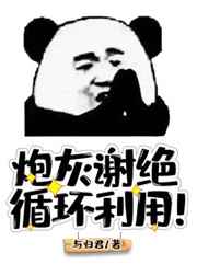 炮灰谢绝循环利用!下载