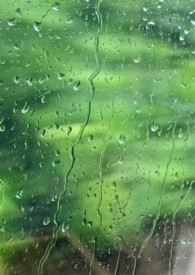 雨季全文阅读免费