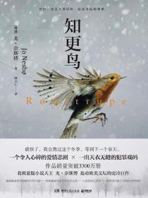 知更鸟小说导读