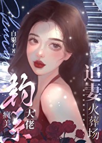 疯批大佬追妻火葬场剧情