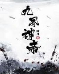 九界神帝叶休修为等级