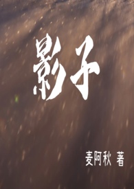 影子网络