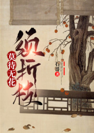 莫待无花空折枝上一句怎么说